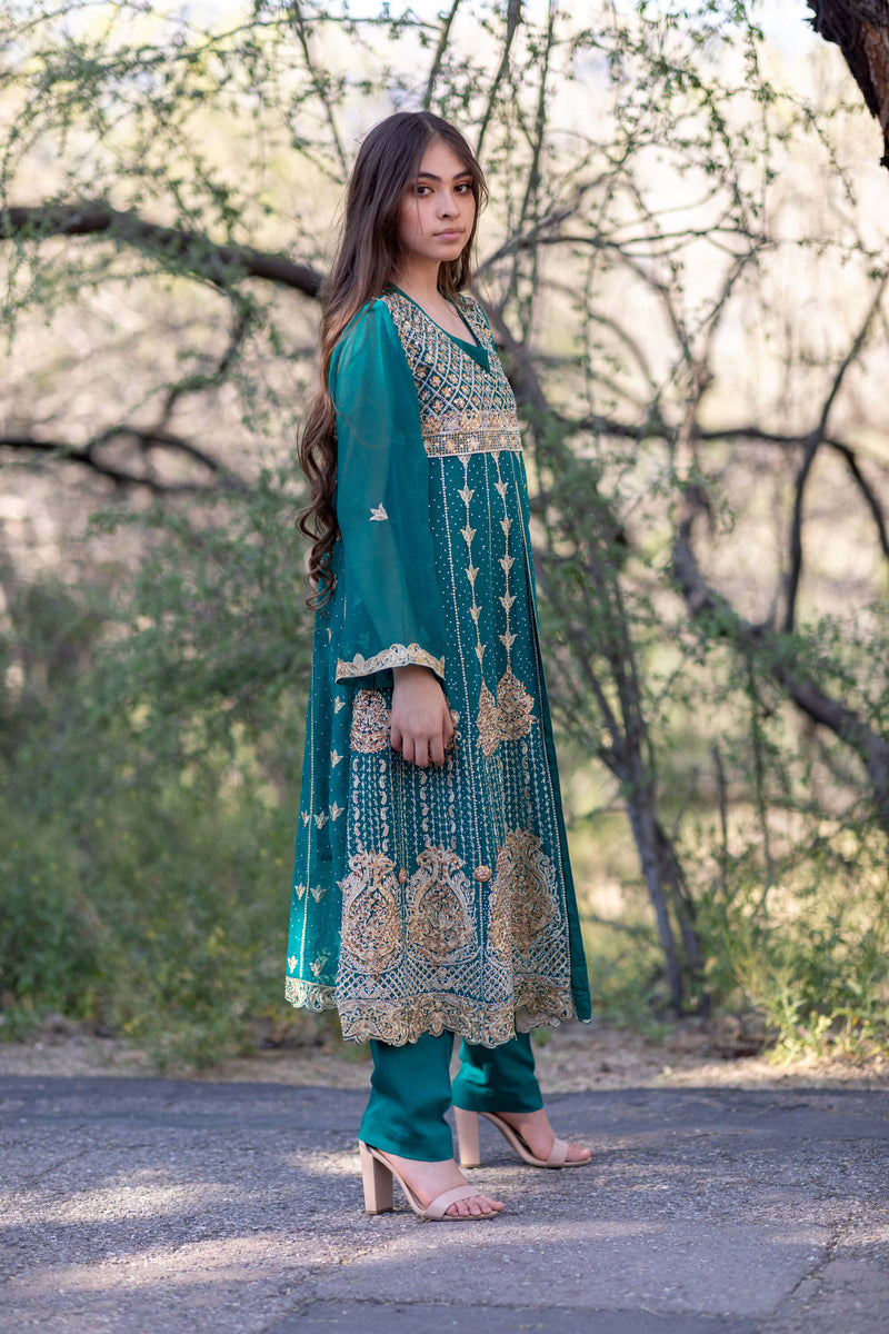Emerald Green Beaded Embroidery Anarkali Chiffon Gown- Trendz & Traditionz Boutique 