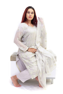 Light Grey Chiffon Salwar Kameez - Suit - South Asian Fashion