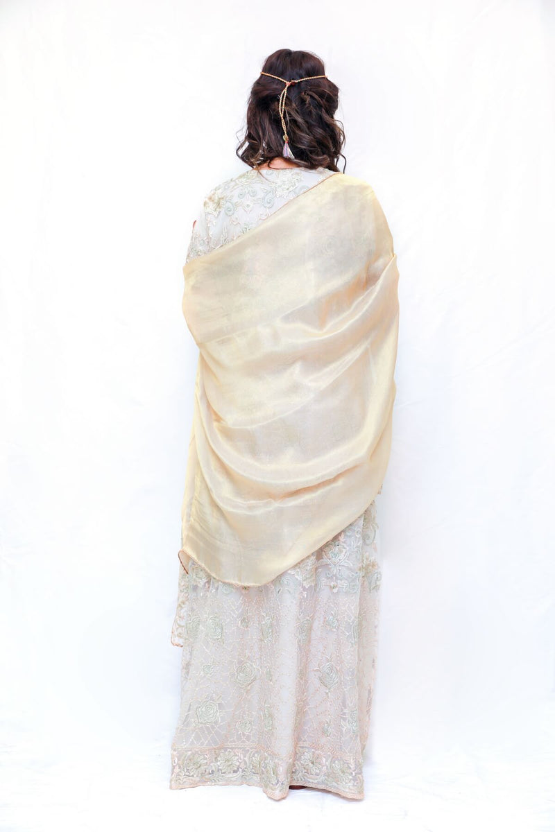 Lengha/Skirt Skirt and Blouse- Trendz & Traditionz Boutique