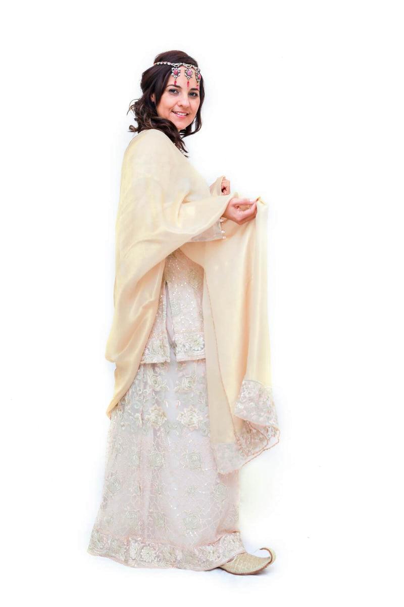 Lengha/Skirt Skirt and Blouse- Trendz & Traditionz Boutique