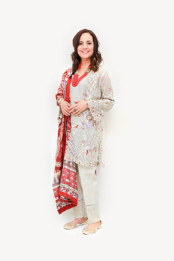 Indian Pakistani Embroidery Chiffon Silk Dress-Trendz & Traditionz Boutique 