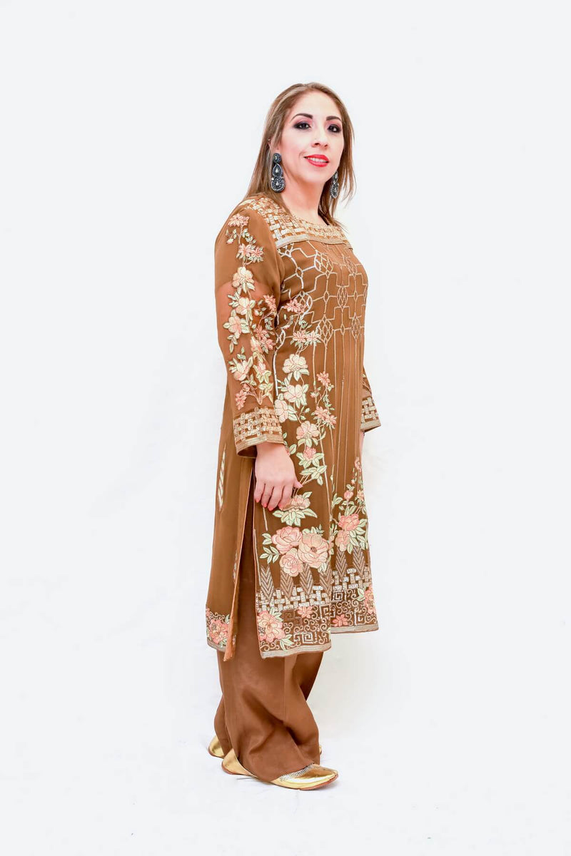 Indian Pakistani Embroidery Chiffon Trendz & Traditionz Boutique