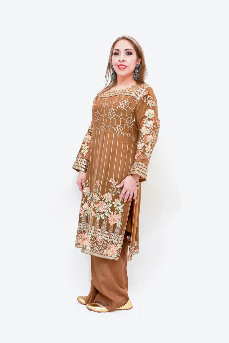 Indian Pakistani Embroidery Chiffon Trendz & Traditionz Boutique
