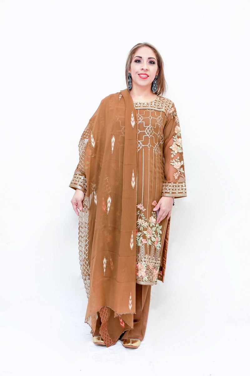 Indian Pakistani Embroidery Chiffon Trendz & Traditionz Boutique