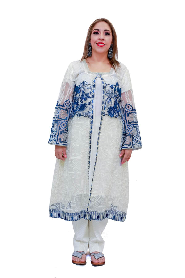 Indian Pakistani Net Embroidery Suit - Trendz & Traditionz Boutique