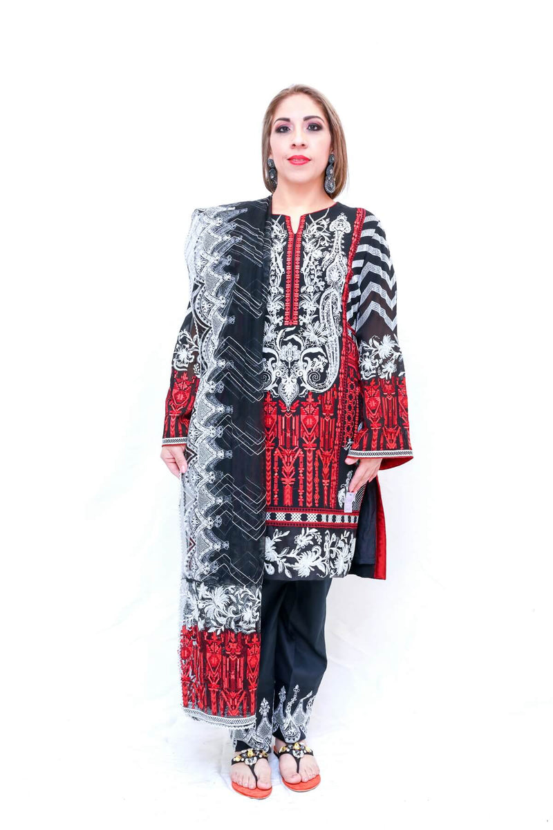 Indian Pakistani chiffon Black & Red Embroidery-Trendz & Traditionz Boutique 