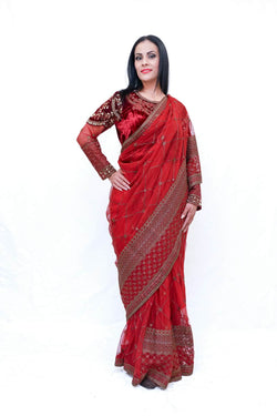 Pakistani Net Sari (Saree) with Velvet Blouse - Trendz & Traditionz Boutique 