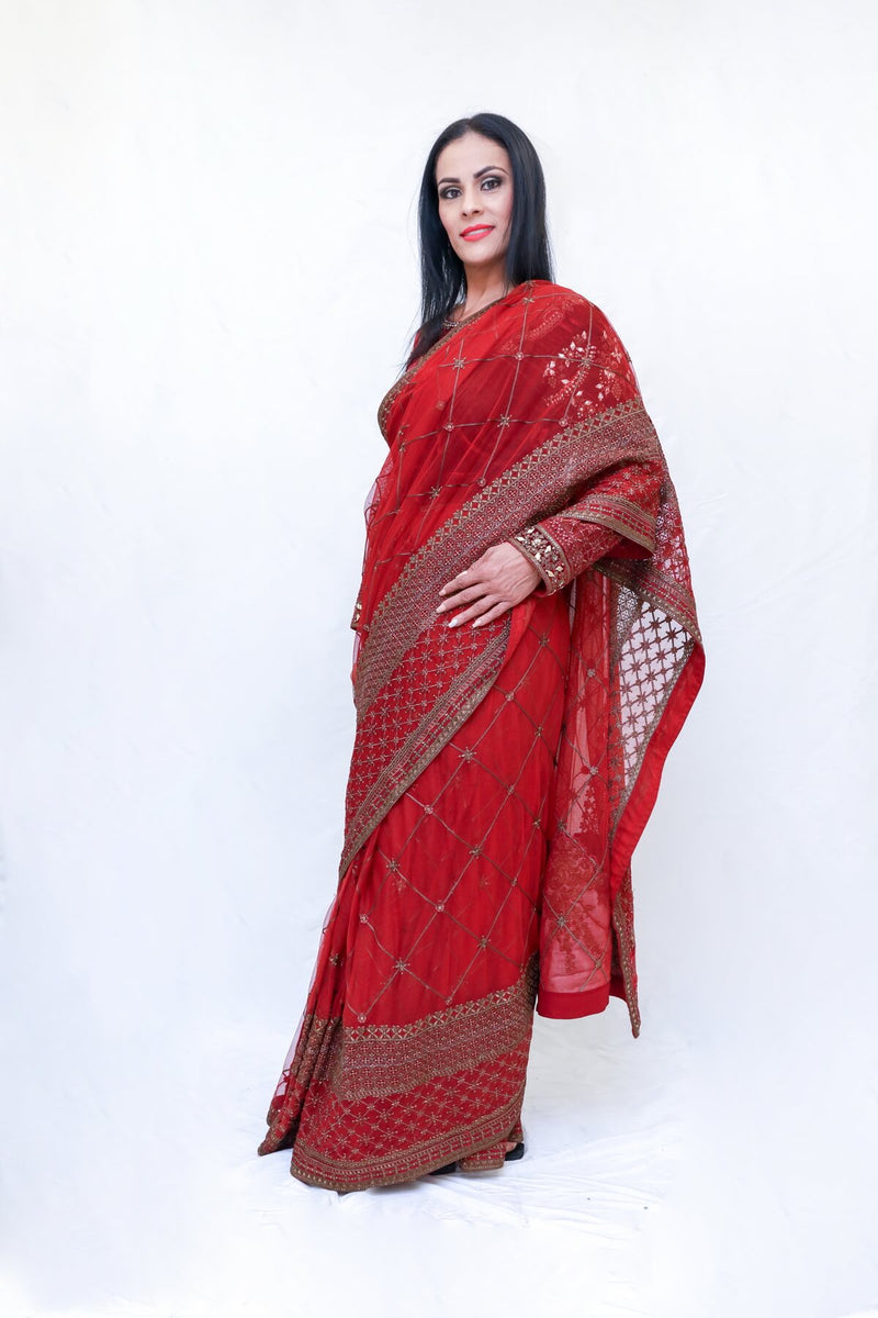 Pakistani Net Sari (Saree) with Velvet Blouse - Trendz & Traditionz Boutique 