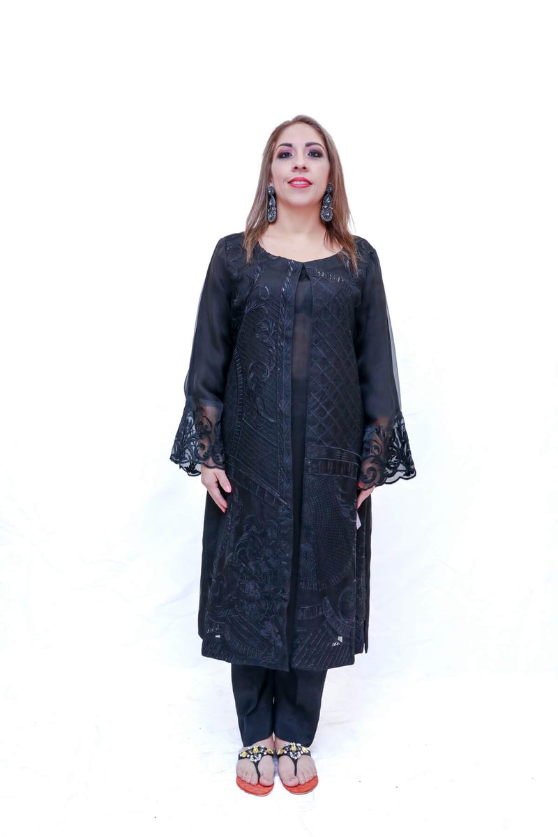 Indian Pakistani Organza Embroidery Dress- Trendz & Traditionz Boutique
