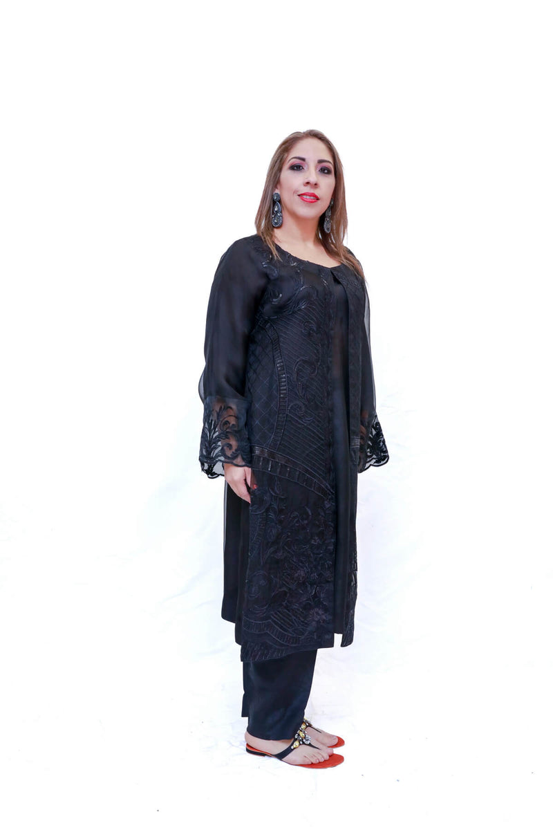 Indian Pakistani Organza Embroidery Dress- Trendz & Traditionz Boutique