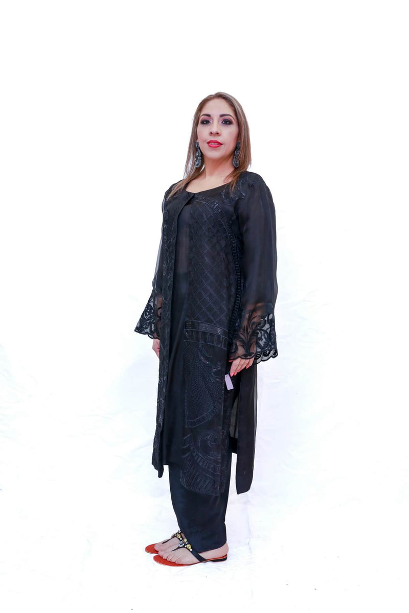 Indian Pakistani Organza Embroidery Dress- Trendz & Traditionz Boutique