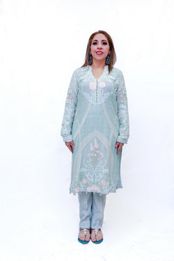 Indian Pakistani Organza Embroidery dress-Trendz & Traditionz Boutique