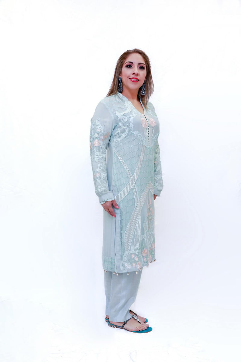 Indian Pakistani Organza Embroidery dress-Trendz & Traditionz Boutique