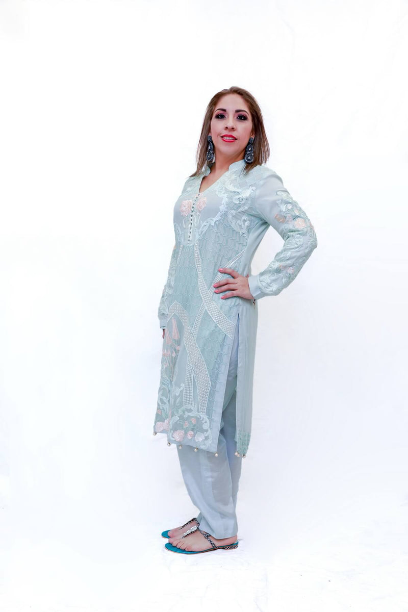 Indian Pakistani Organza Embroidery dress-Trendz & Traditionz Boutique