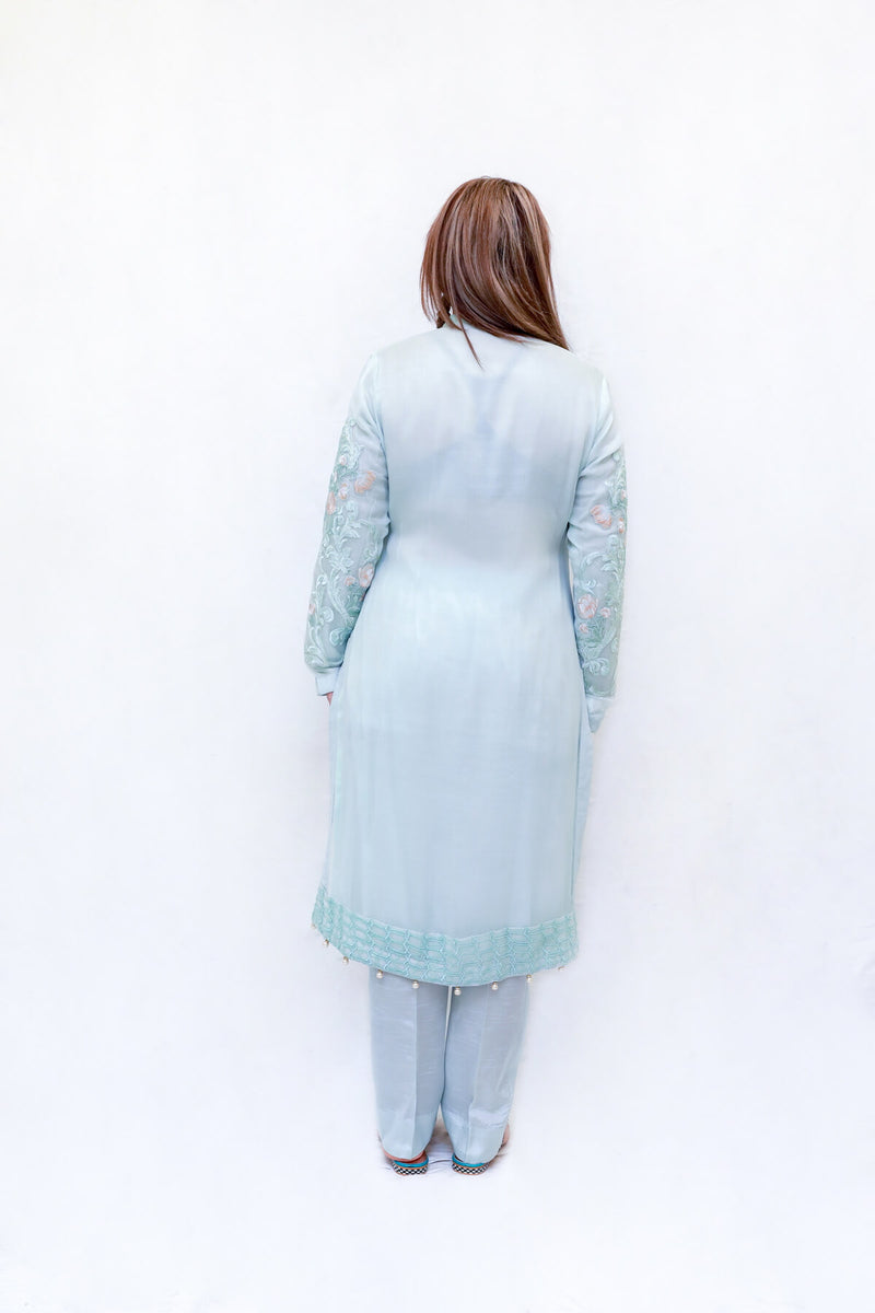 Indian Pakistani Organza Embroidery dress-Trendz & Traditionz Boutique