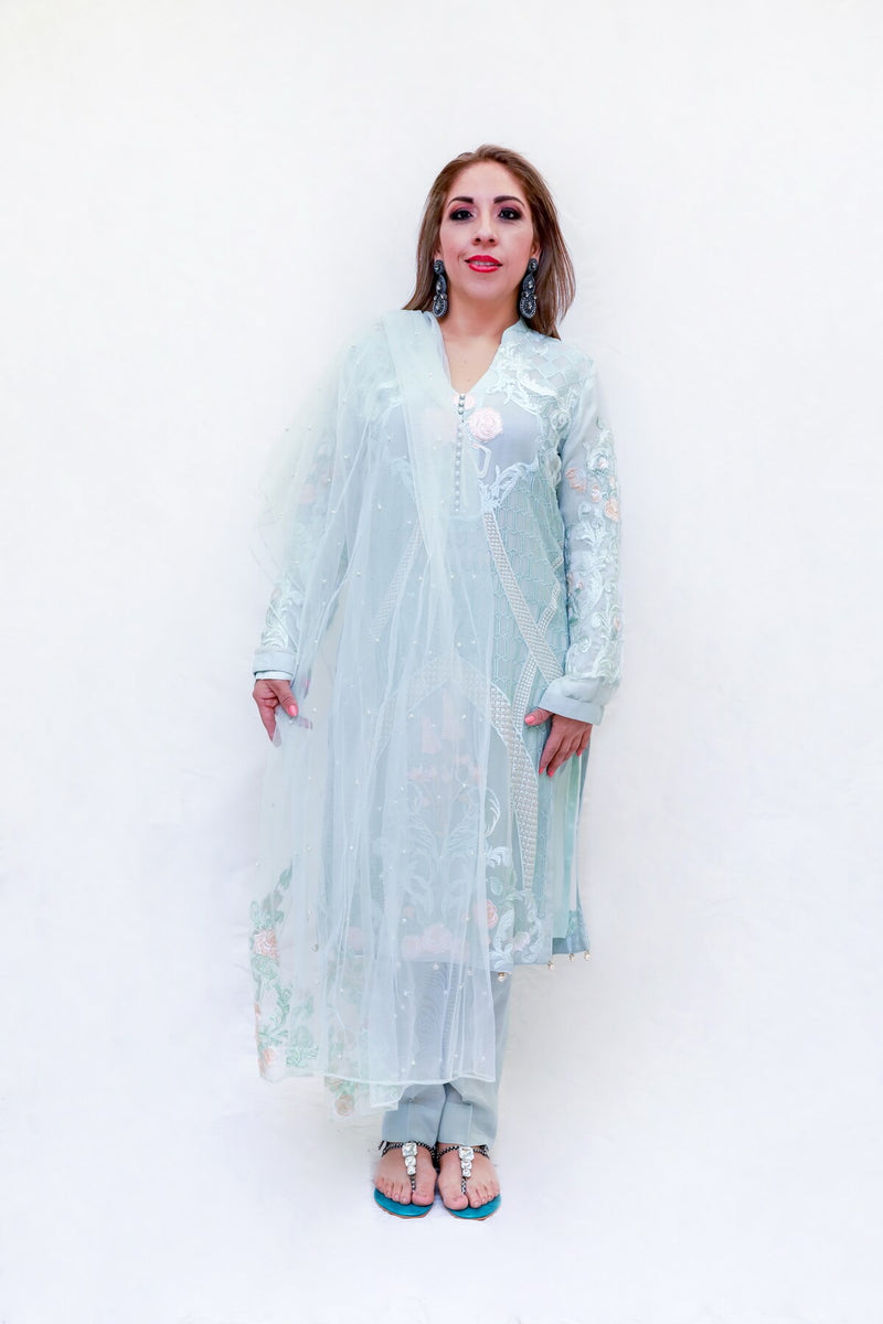 Indian Pakistani Organza Embroidery dress-Trendz & Traditionz Boutique