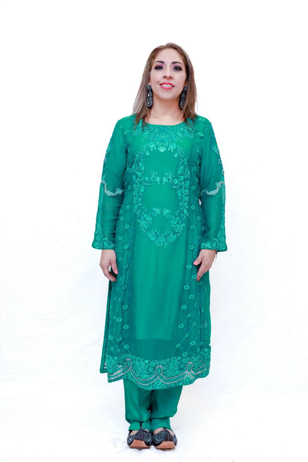 Indian Pakistani Embroidery Chiffon Dress-Trendz & Traditionz Boutique 