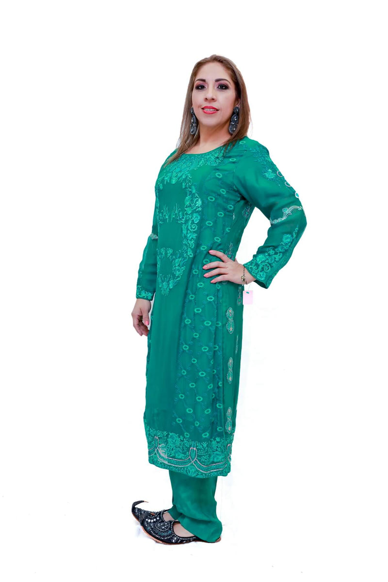 Indian Pakistani Embroidery Chiffon Dress-Trendz & Traditionz Boutique 