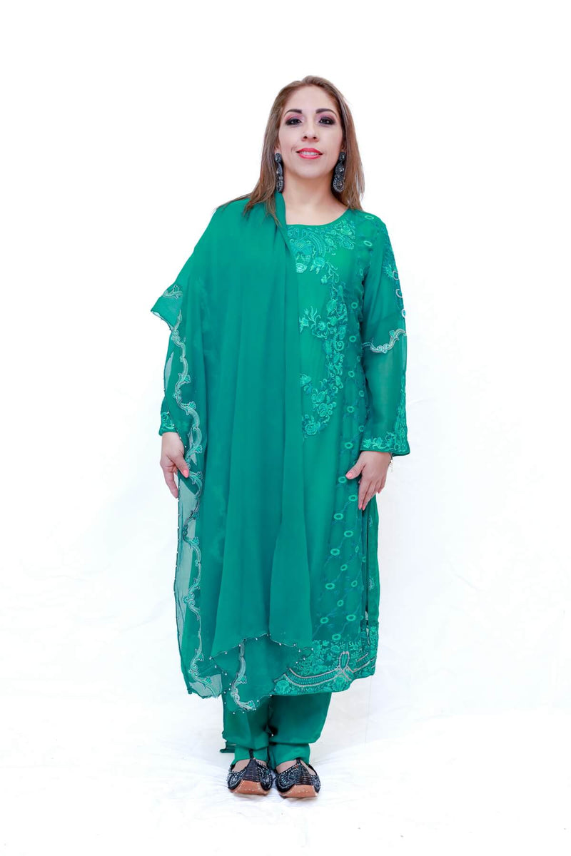 Indian Pakistani Embroidery Chiffon Dress-Trendz & Traditionz Boutique 