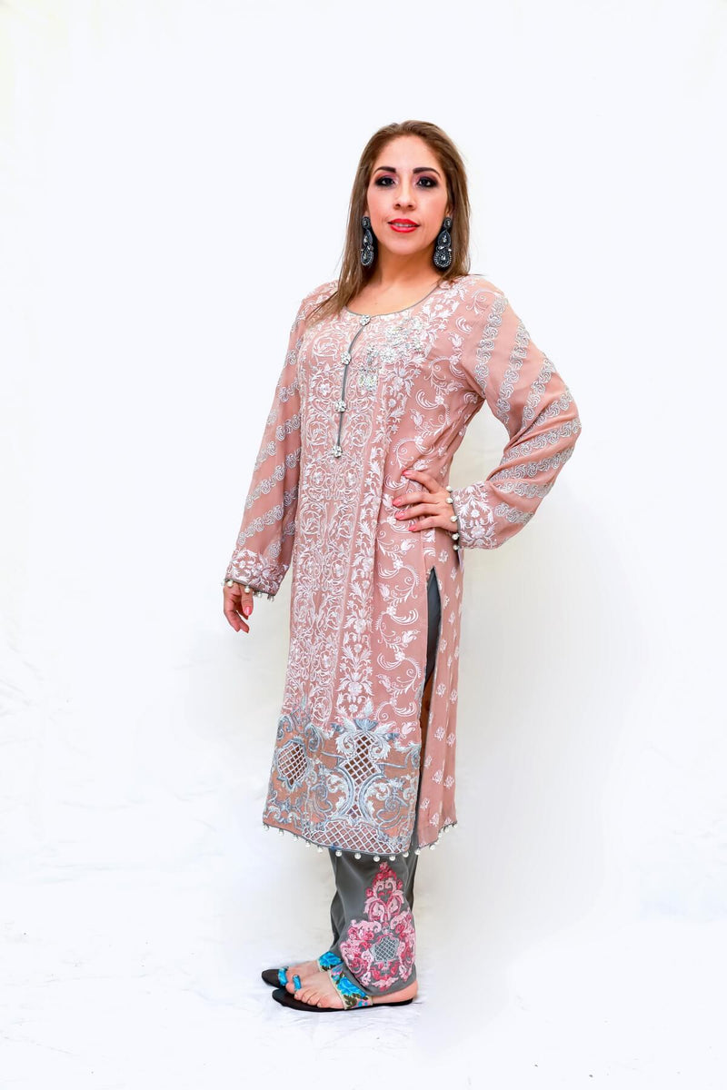 Indian Pakistani Chiffon Dress Trendz & Traditionz Boutique