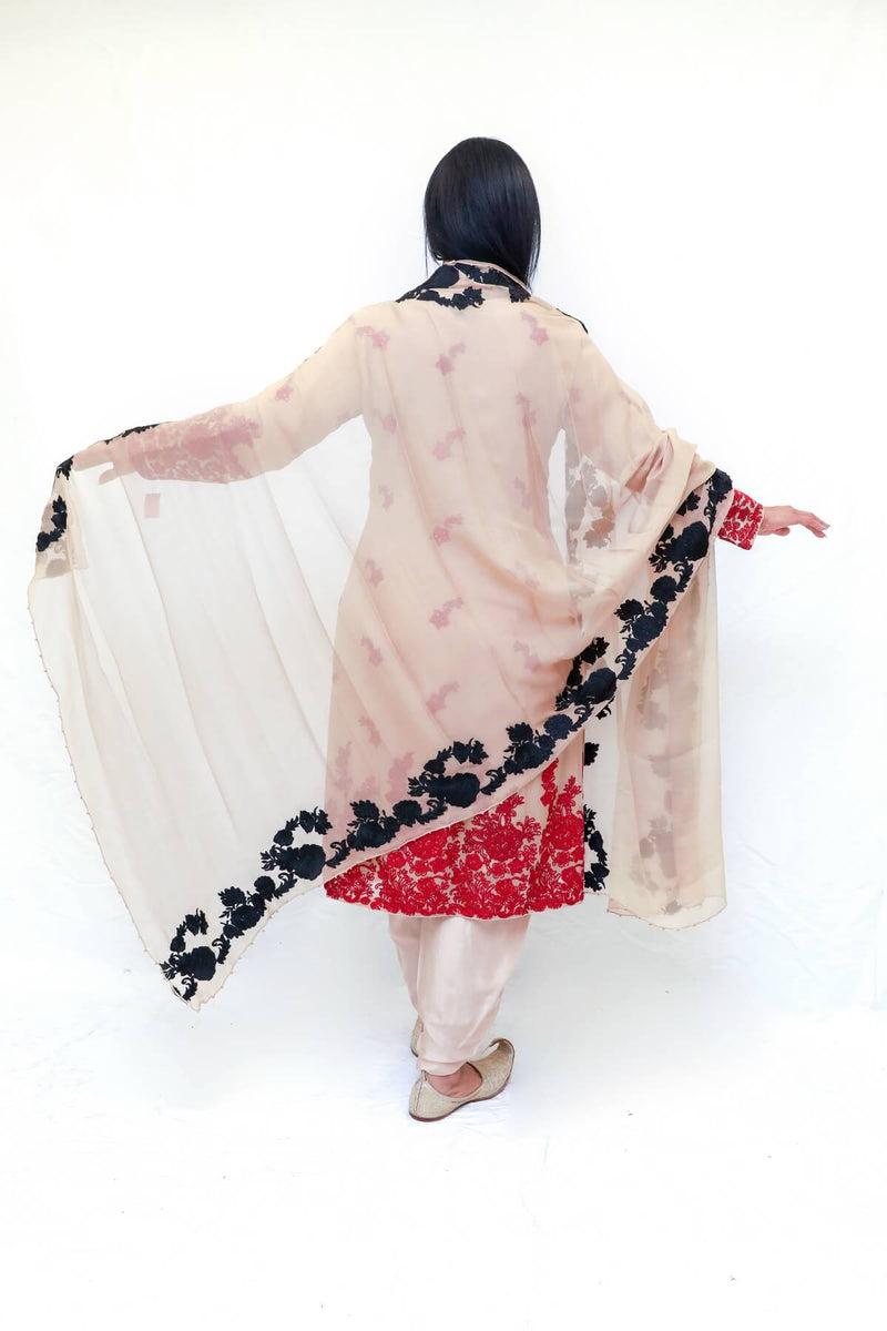 Indian Embroidery Dress - Trendz & Traditionz Boutique