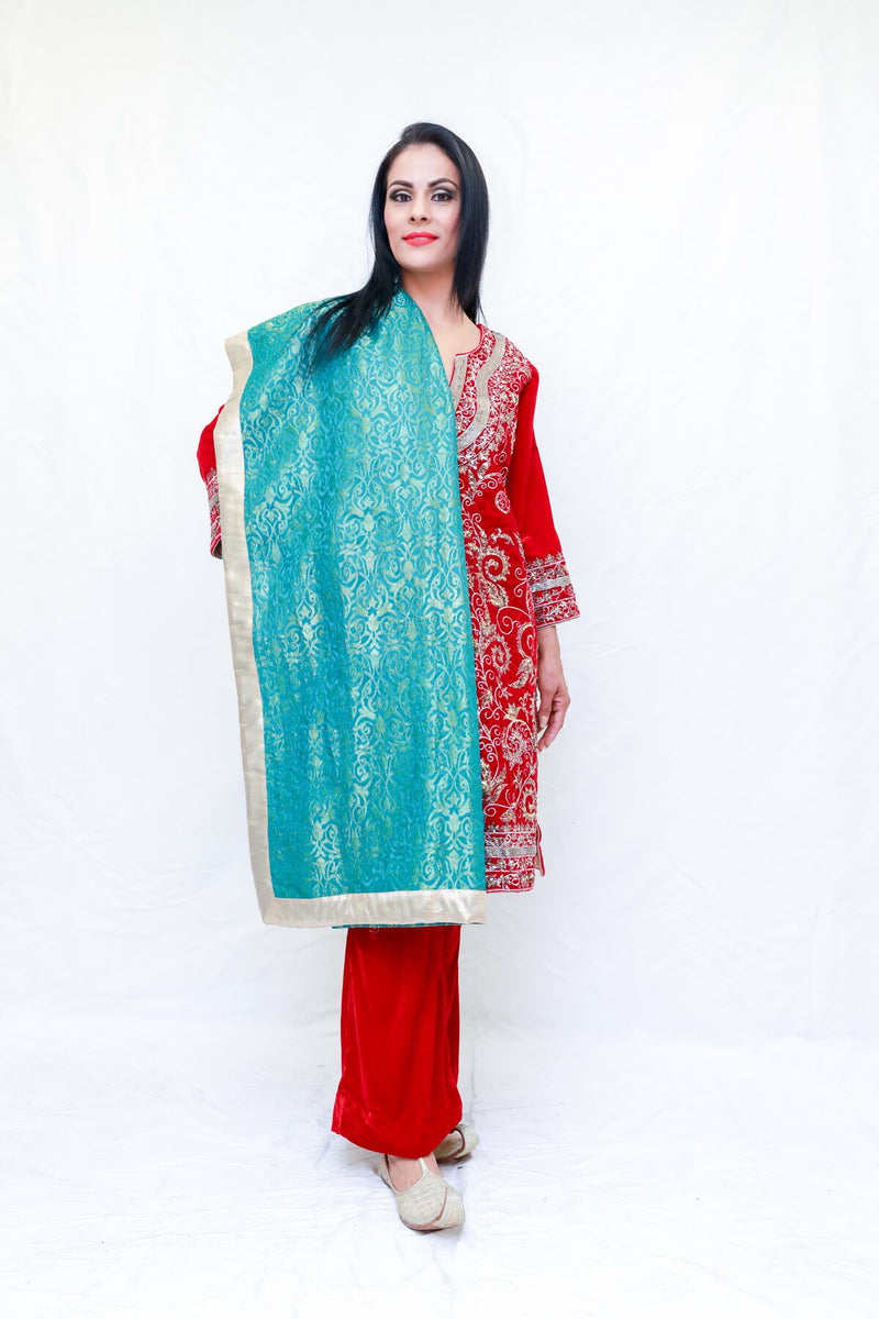 Velvet Salwar Kameez Suit - Trendz & Traditionz Boutique 