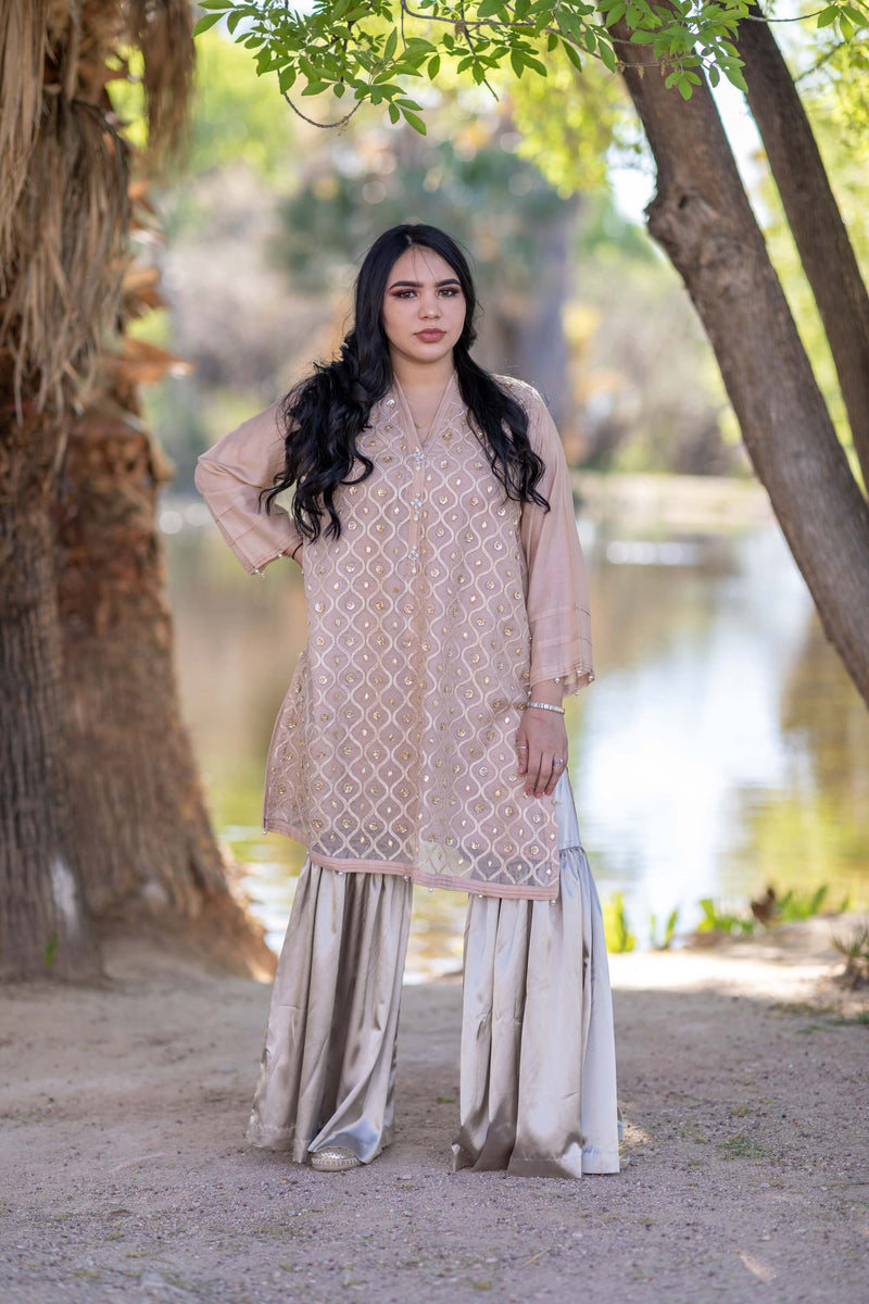 Beaded Silk Shirt-Kurti & Silky Pant-Garara- Trendz & Traditionz Boutique 