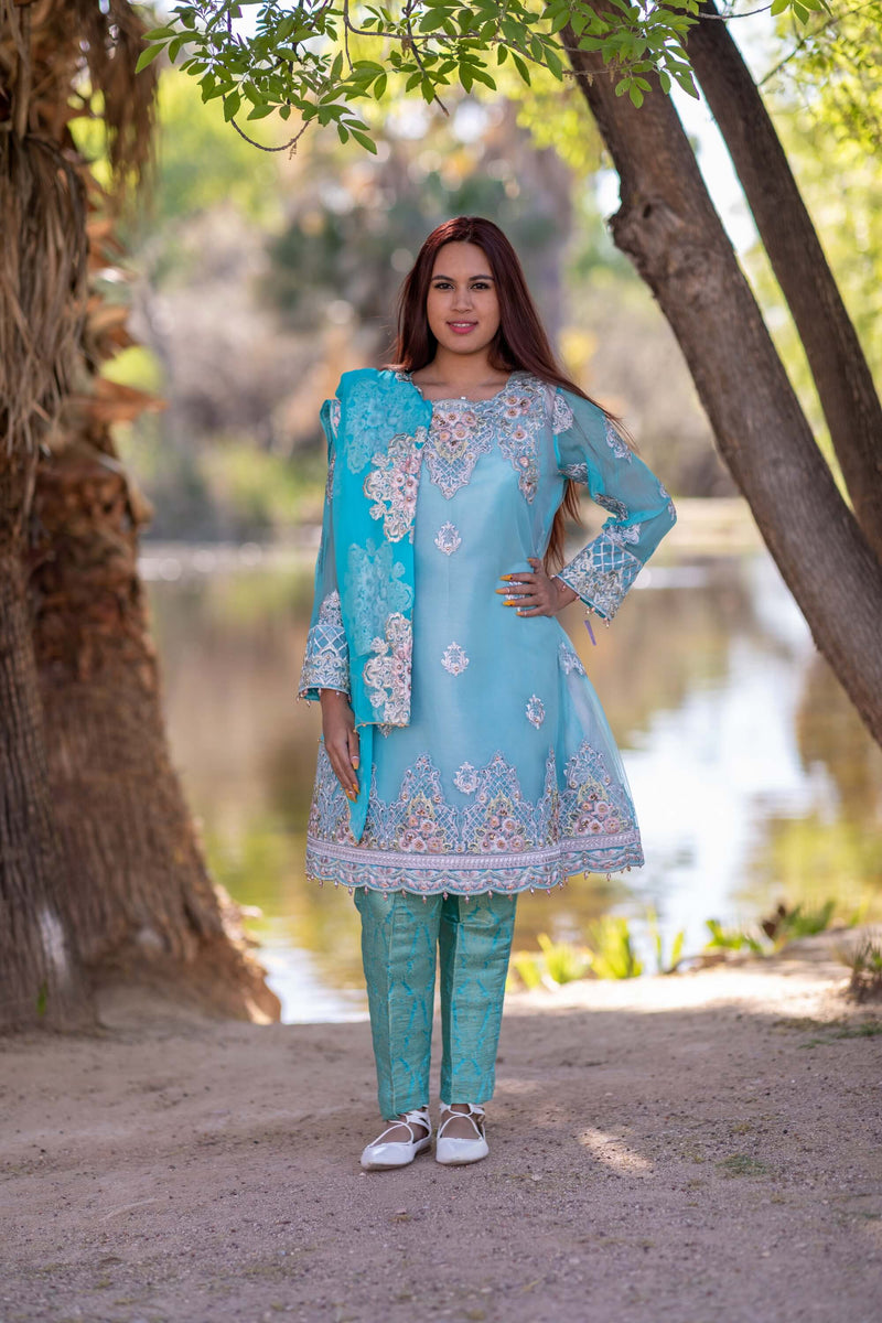 Embroidery Party Dress-Salwar Kameez- Trendz & Traditionz Boutique 