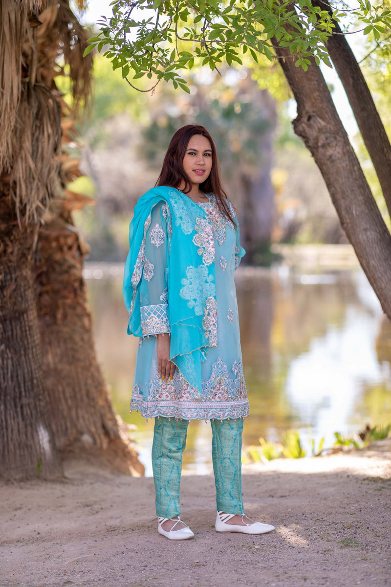 Embroidery Party Dress-Salwar Kameez- Trendz & Traditionz Boutique 