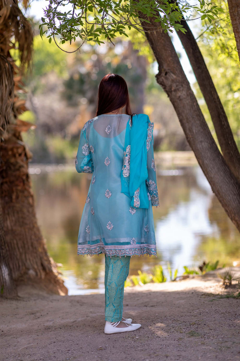 Embroidery Party Dress-Salwar Kameez- Trendz & Traditionz Boutique 