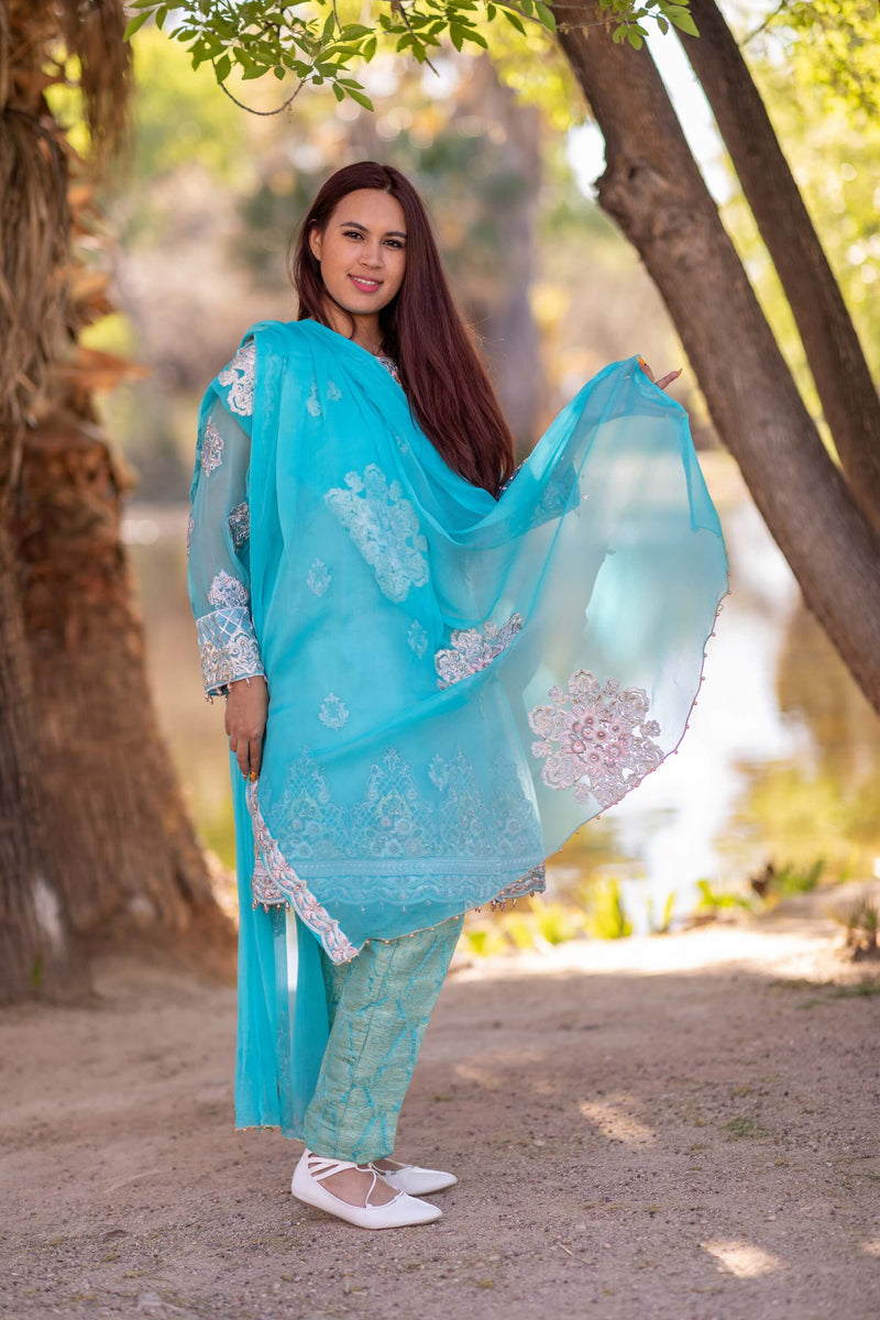 Embroidery Party Dress-Salwar Kameez- Trendz & Traditionz Boutique