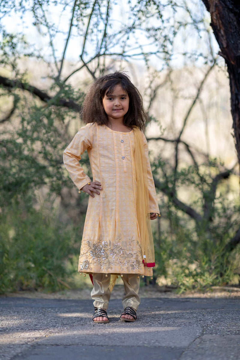 Girls Summer Dress-Salwar Kameez- Trendz & Traditionz Boutique