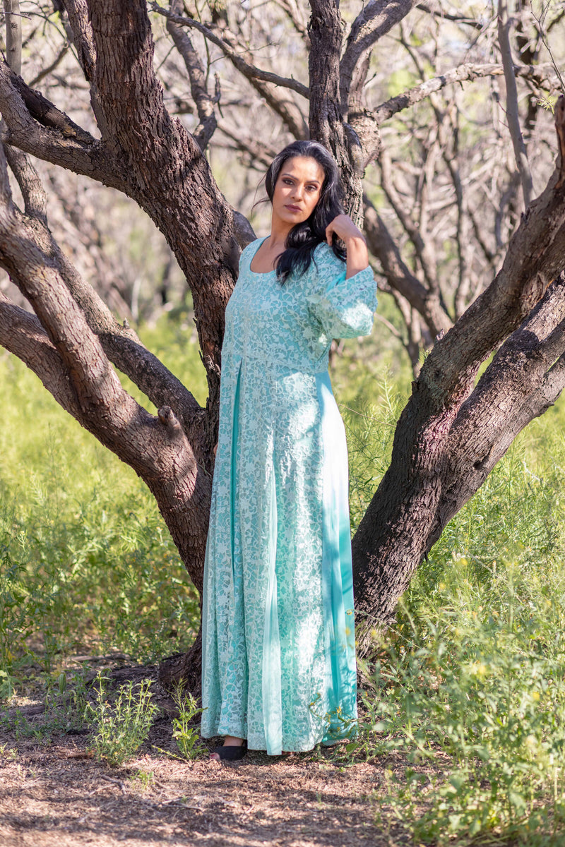 Net Gown Elegant Embroidery - Trendz & Traditionz Boutique