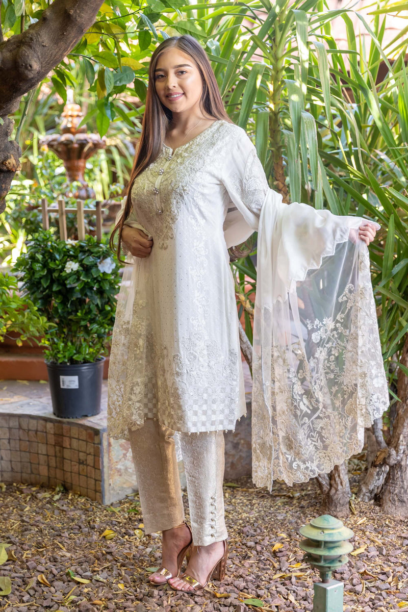 White Chiffon Shirt & Net Scarf Embroidery Suit-Salwar Kameez- Trendz & Traditionz Boutique 