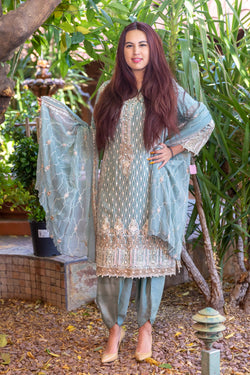 Embroidery Chiffon Suit-Salwar Kameez - Trendz & Traditionz Boutique