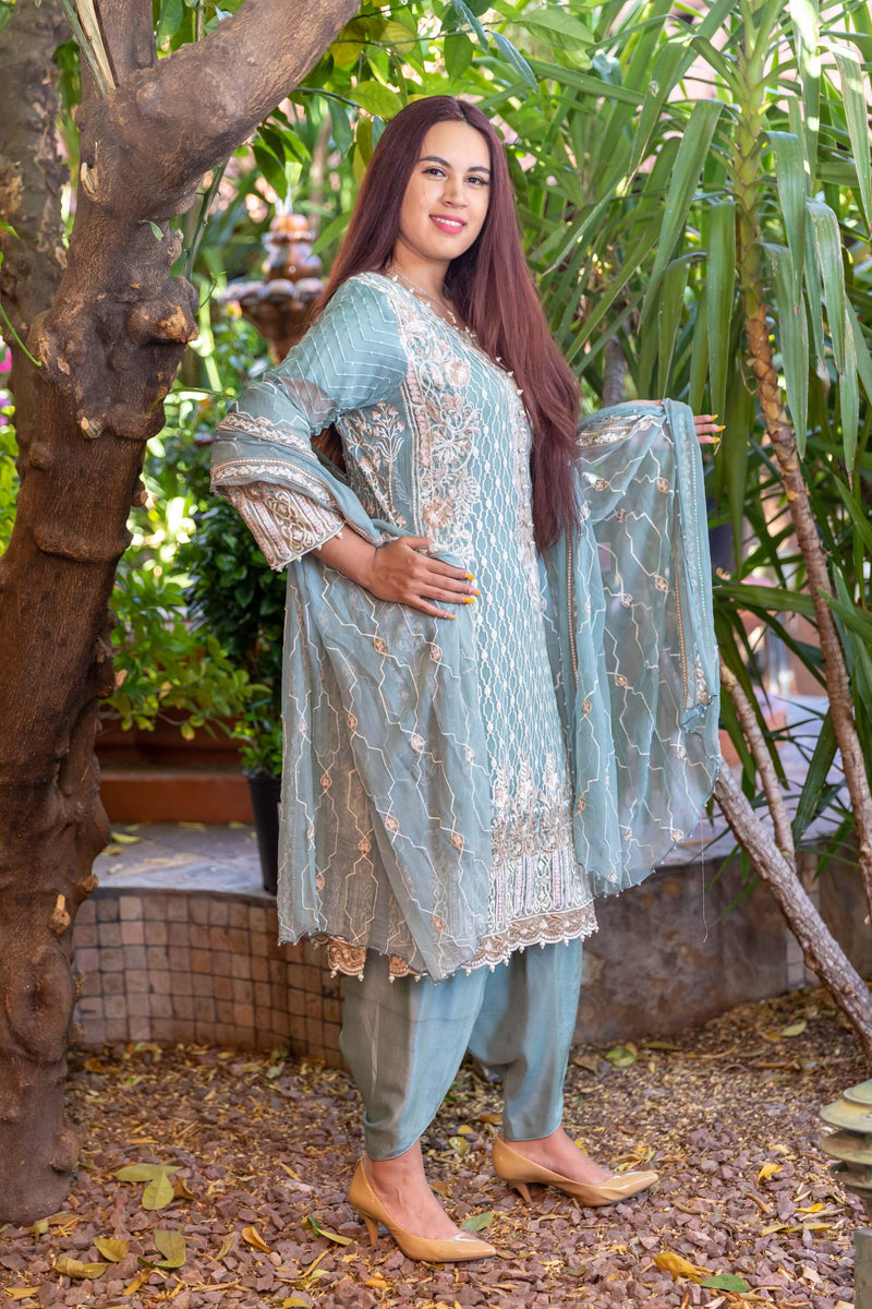 Embroidery Chiffon Suit-Salwar Kameez - Trendz & Traditionz Boutique