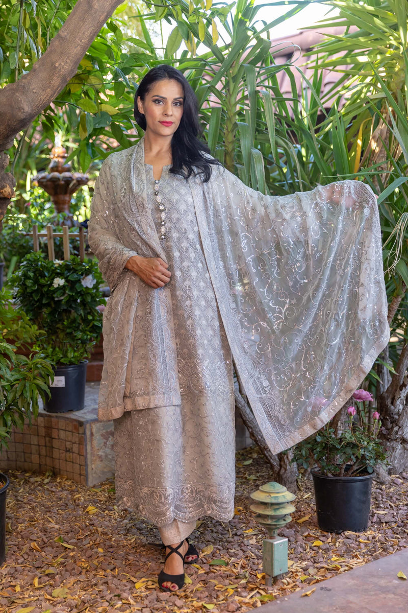 Grey Chiffon Embroidery Suit with Full Embroidery Scarf- Trendz & Traditionz Boutique 