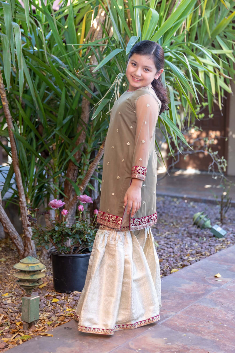Girl's Net Dress With Silk Pants - Trendz & Traditionz Boutique