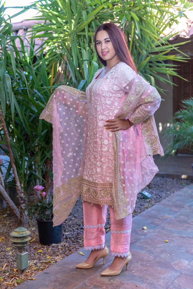 Pink Chiffon Embroidery Suit with Silk pants and Embroidery Chiffon Shawl- Trendz & Traditionz Boutique 
