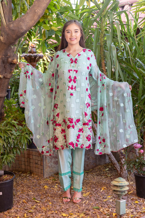 Chiffon Embroidery Suit-Salwar Kameez- Trendz & Traditionz Boutique