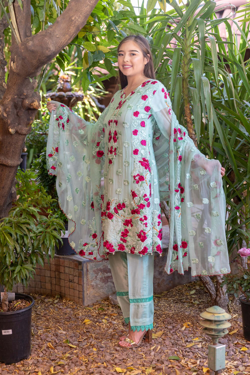 Chiffon Embroidery Suit-Salwar Kameez- Trendz & Traditionz Boutique