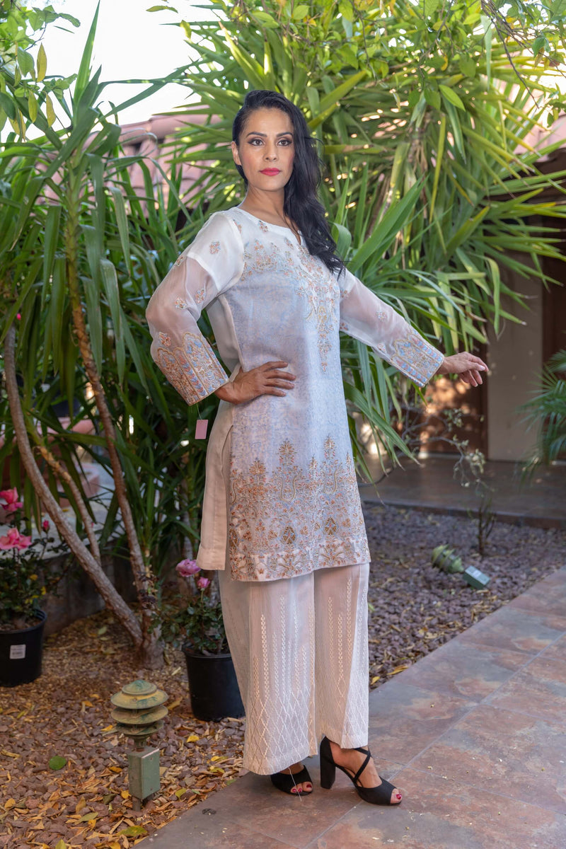 Silk Chiffon Dress-Salwar Kameez - Trendz & Traditionz Boutique