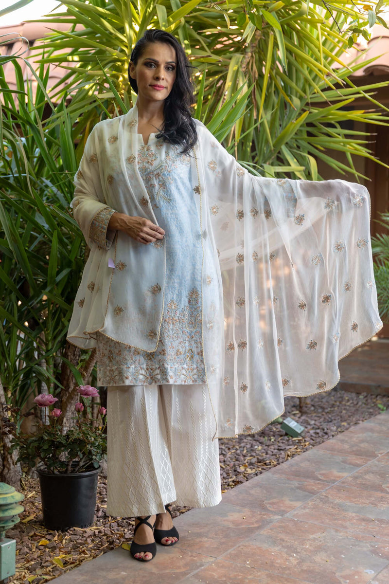 Silk Chiffon Dress-Salwar Kameez - Trendz & Traditionz Boutique