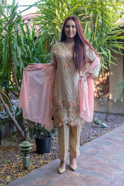 Chiffon Silk Embroidery Suit-Slawar Kameez- Trendz & Traditionz Boutique 
