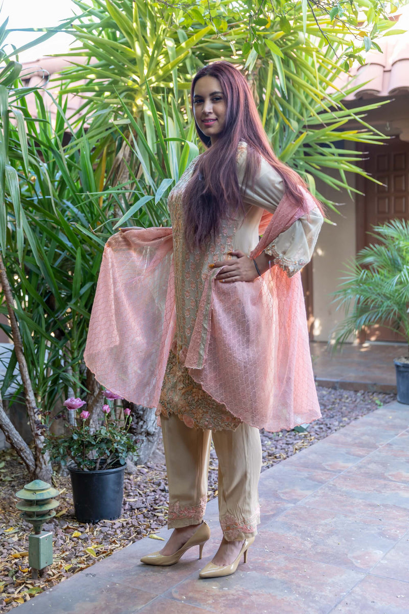 Chiffon Silk Embroidery Suit-Slawar Kameez- Trendz & Traditionz Boutique 