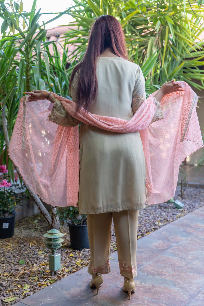 Chiffon Silk Embroidery Suit-Slawar Kameez- Trendz & Traditionz Boutique 