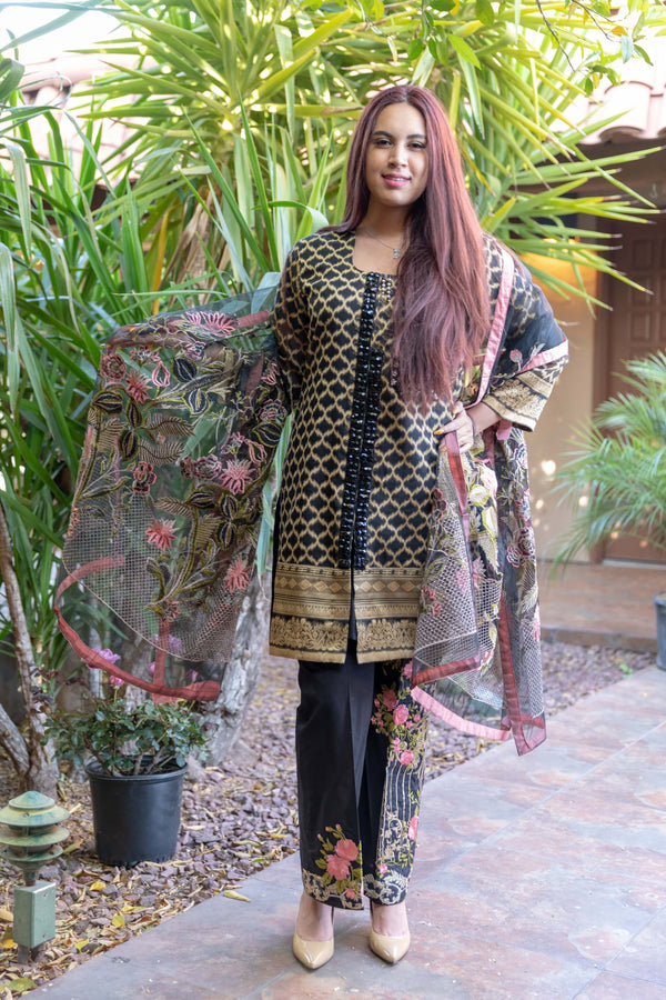 Black Organza Suit With Embroidery and Golden Brocade - Trendz & Traditionz Boutique 