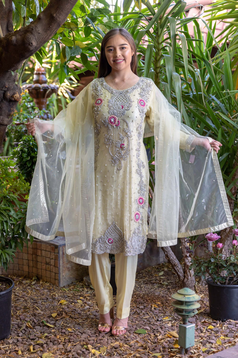 Indian Pakistani Bridal Dress