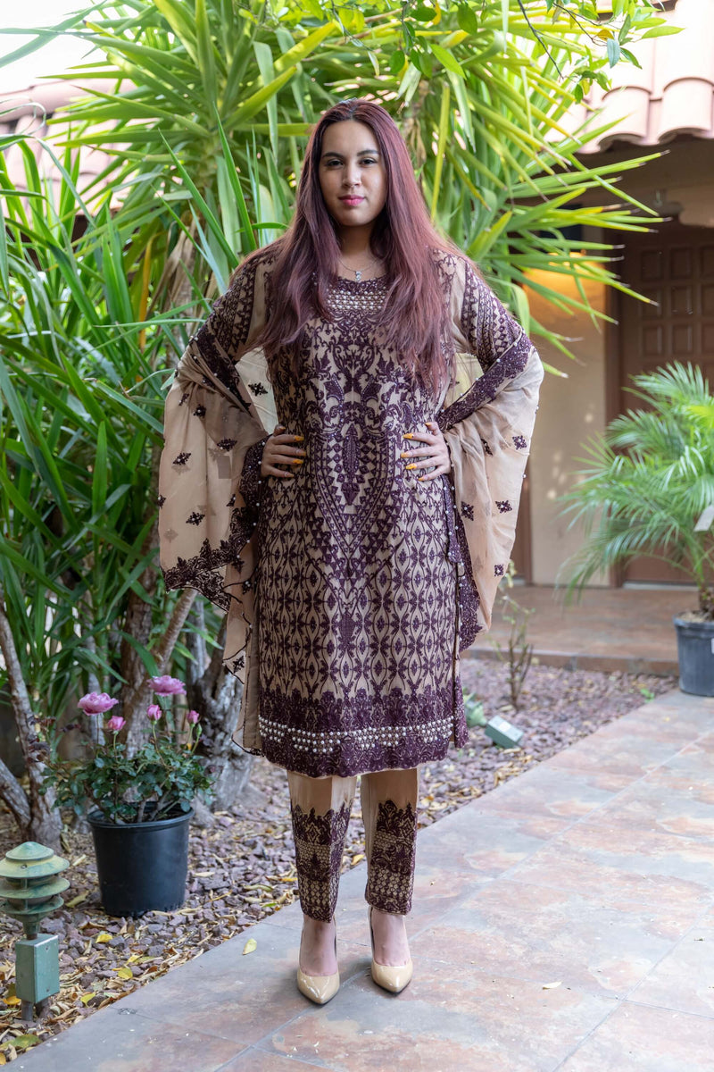 Gold- Beige Chiffon Embroidery Suit with Silk pants - Trendz & Traditionz Boutique 
