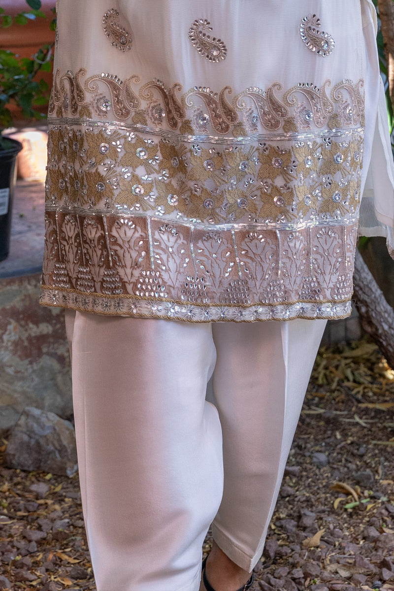 White Chiffon Embroidery Suit- Trendz & Traditionz Boutique